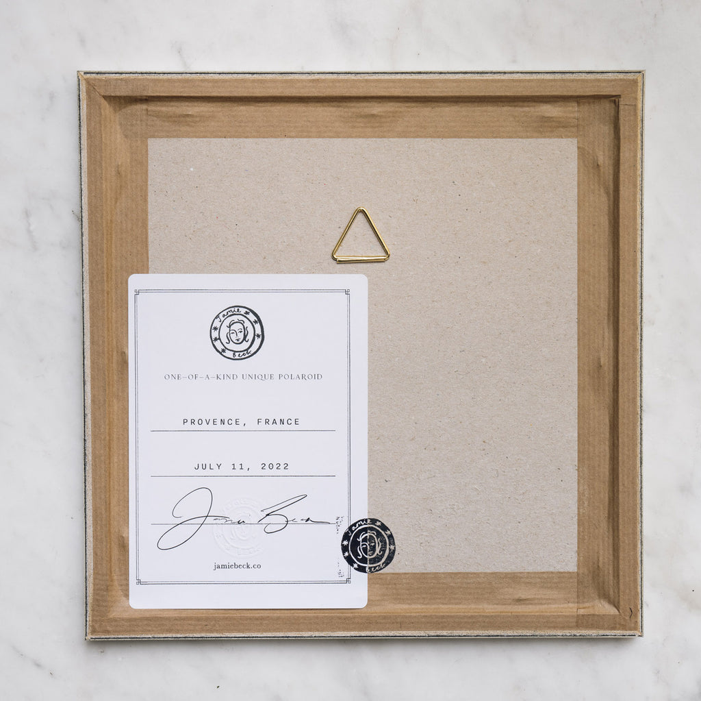 Polaroid Studio Artifact 27