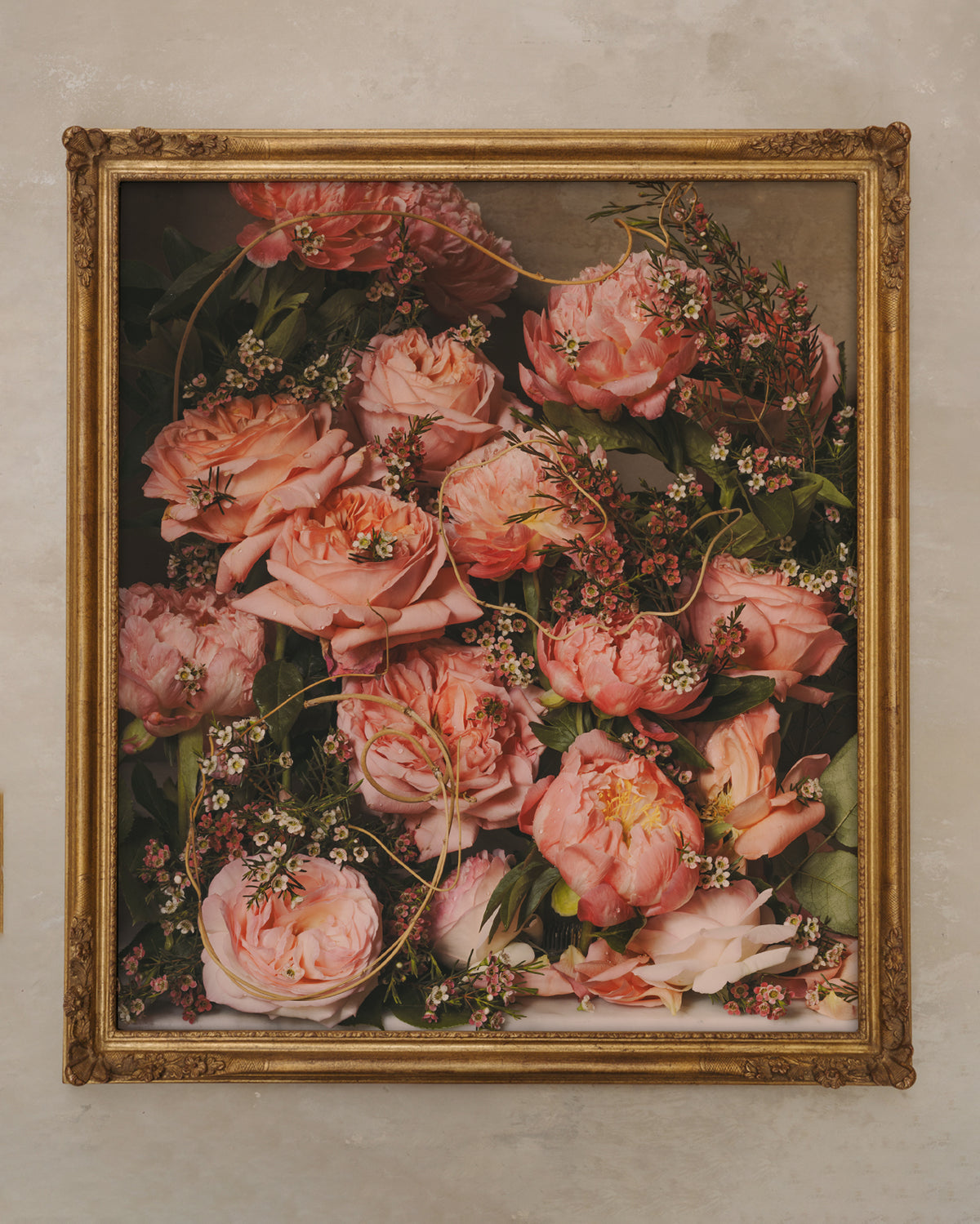 Framed Masterwork - Rose Month Day Seven