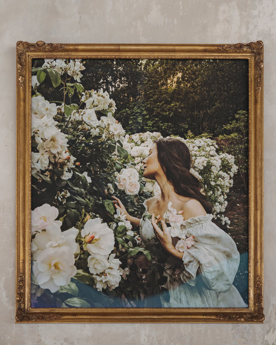 Framed Masterwork - Rose Month Day Twenty-six