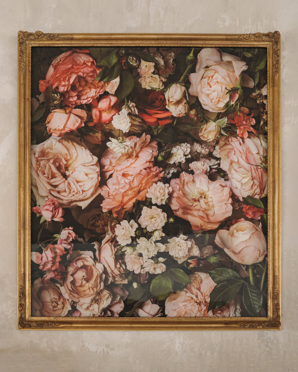 Framed Masterwork - Rose Month Day Twenty-eight