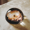 Drops of Provence Paperweight Blush Rose