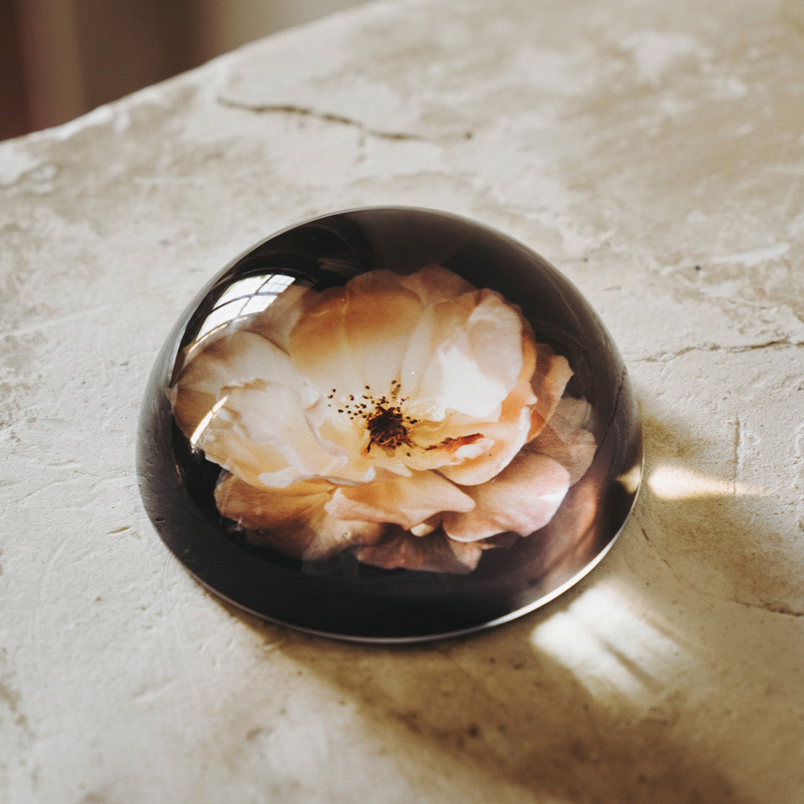 Drops of Provence Paperweight Blush Rose