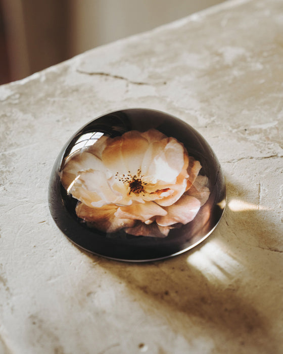 Drops of Provence Paperweight Blush Rose