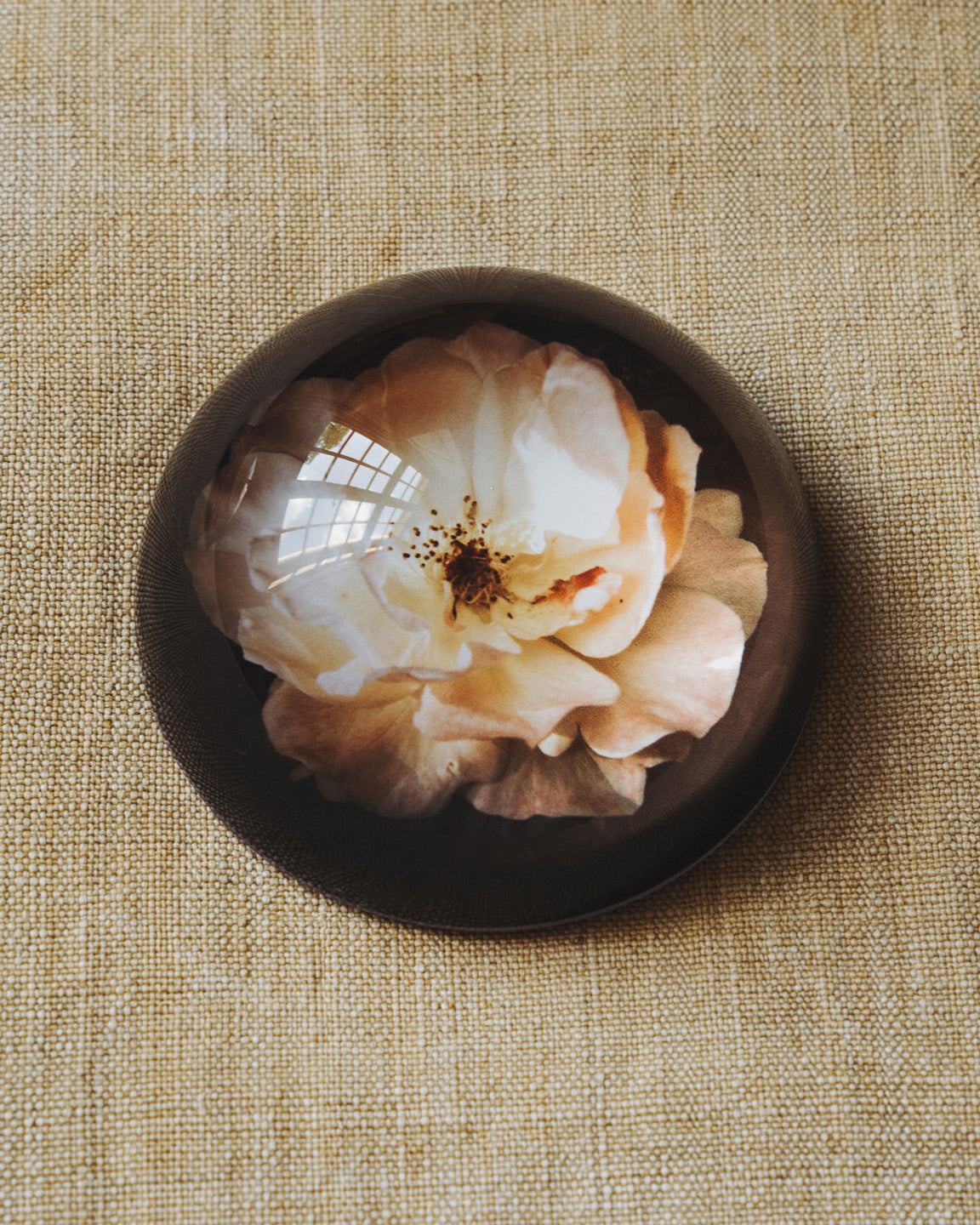 Drops of Provence Paperweight Blush Rose
