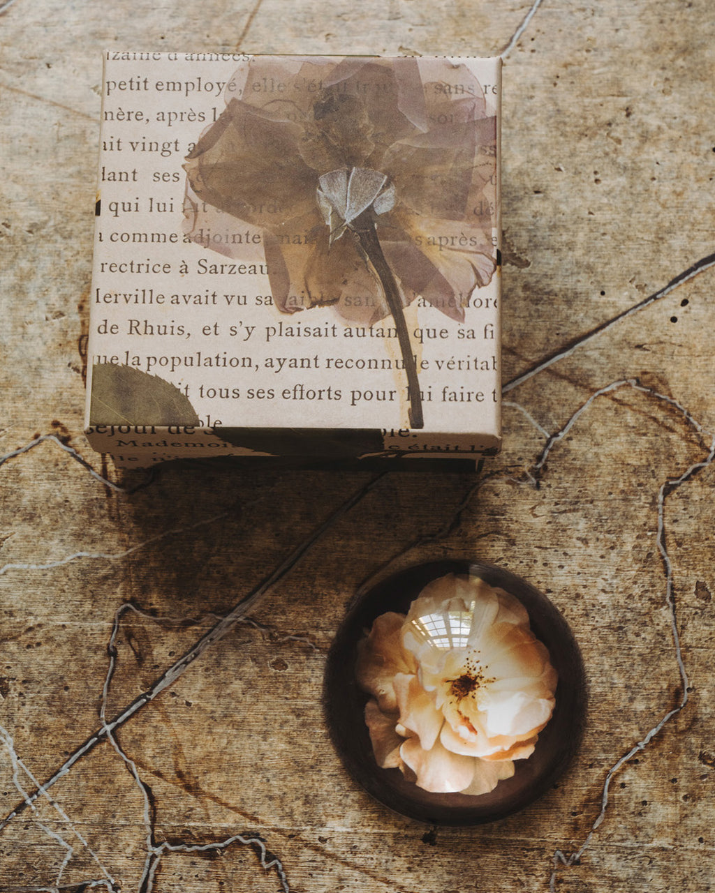 Drops of Provence Paperweight Blush Rose