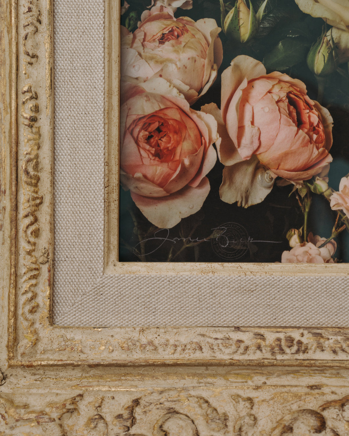 Framed Masterwork - Rose Month Day Twenty-five