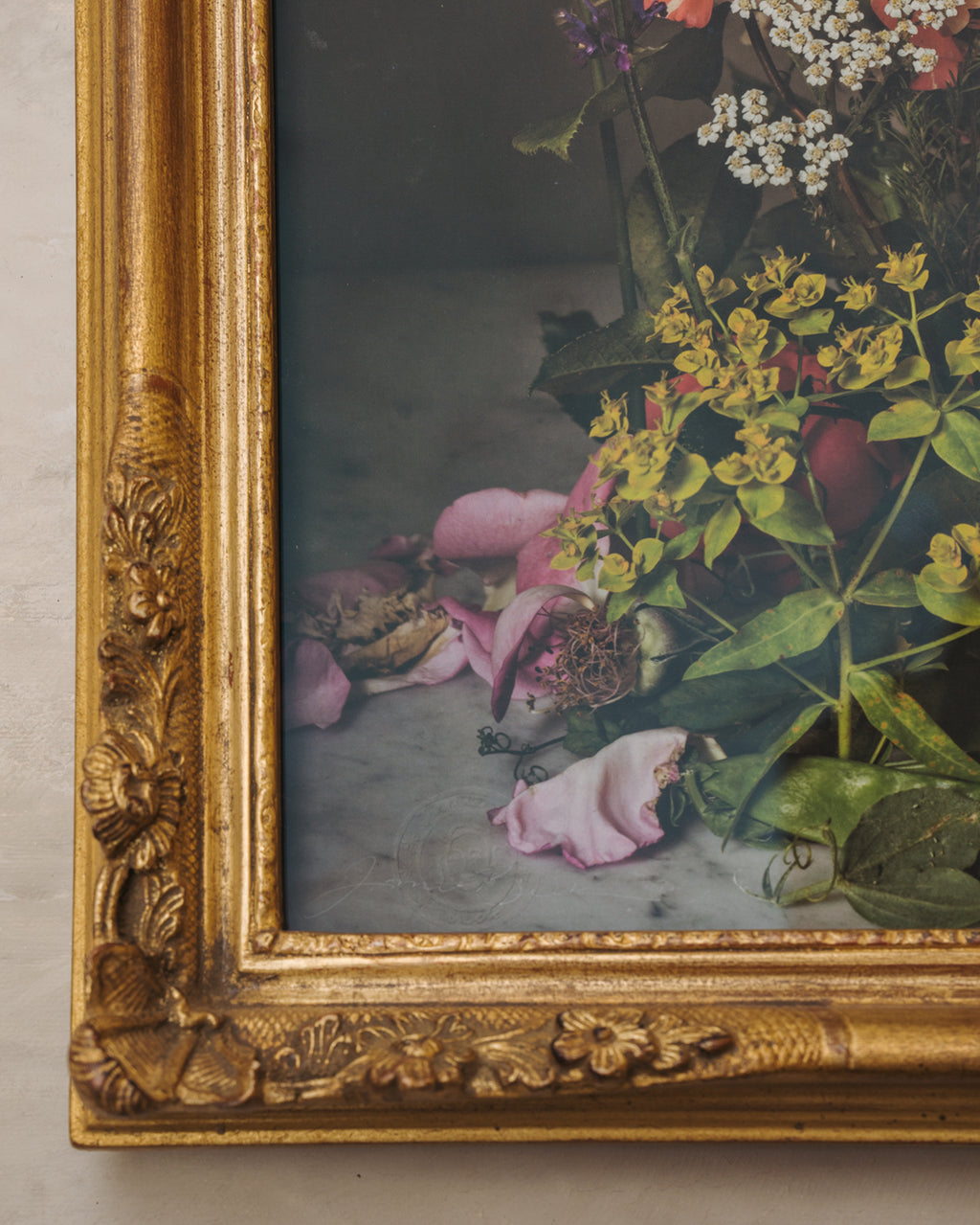 Framed Masterwork - Rose Month Day Seventeen