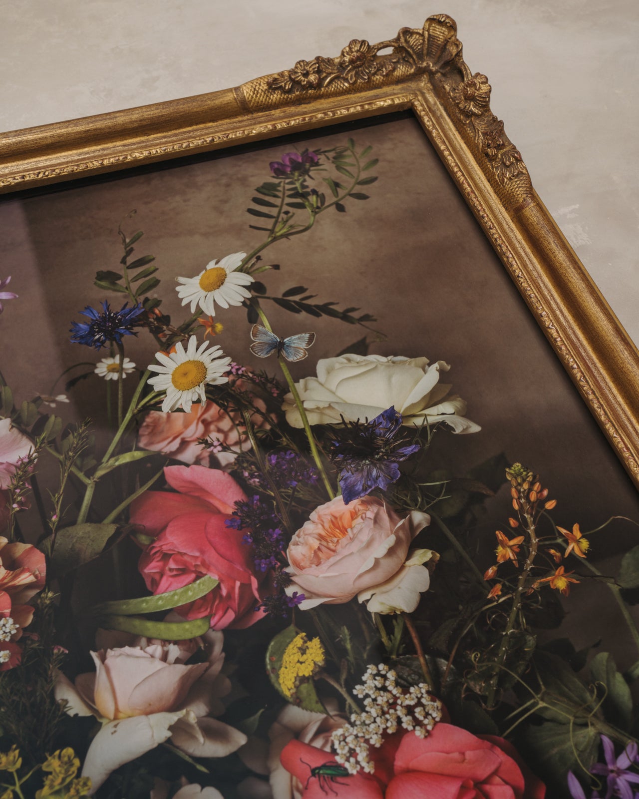 Framed Masterwork - Rose Month Day Seventeen