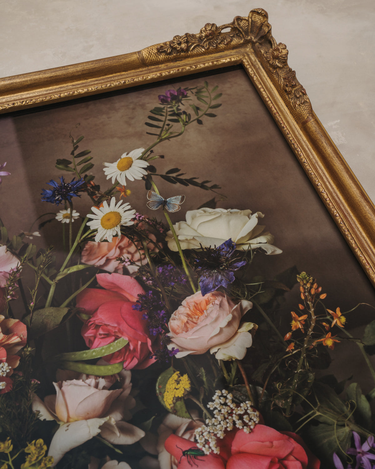 Framed Masterwork - Rose Month Day Seventeen