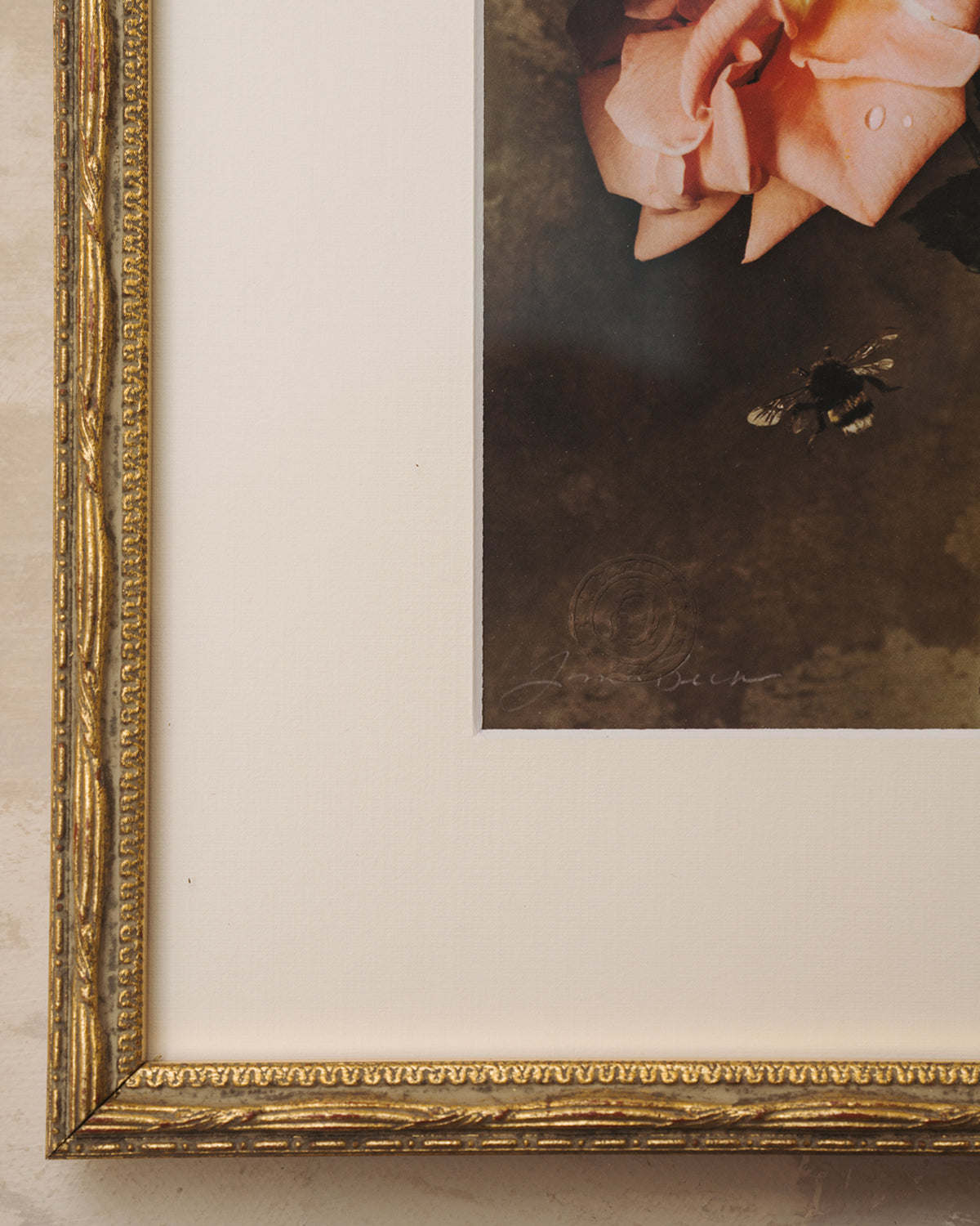 Framed Masterwork - Rose Month Day Four