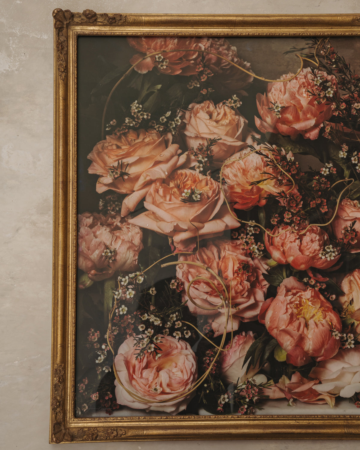 Framed Masterwork - Rose Month Day Seven