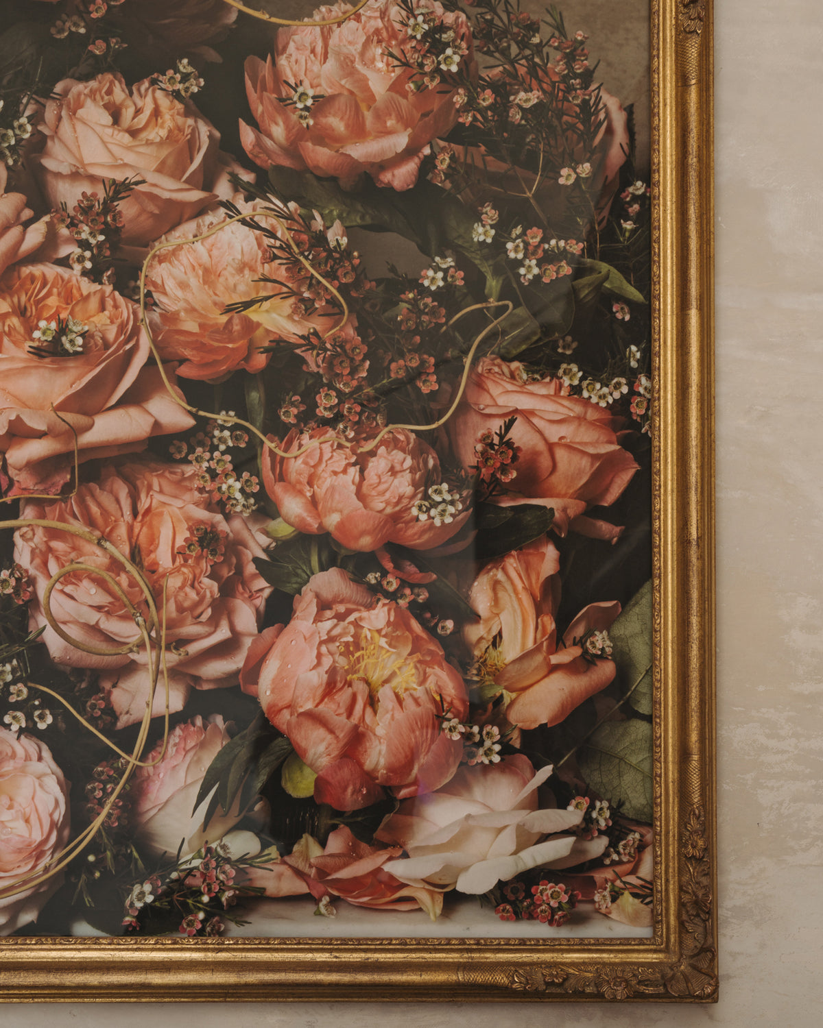Framed Masterwork - Rose Month Day Seven