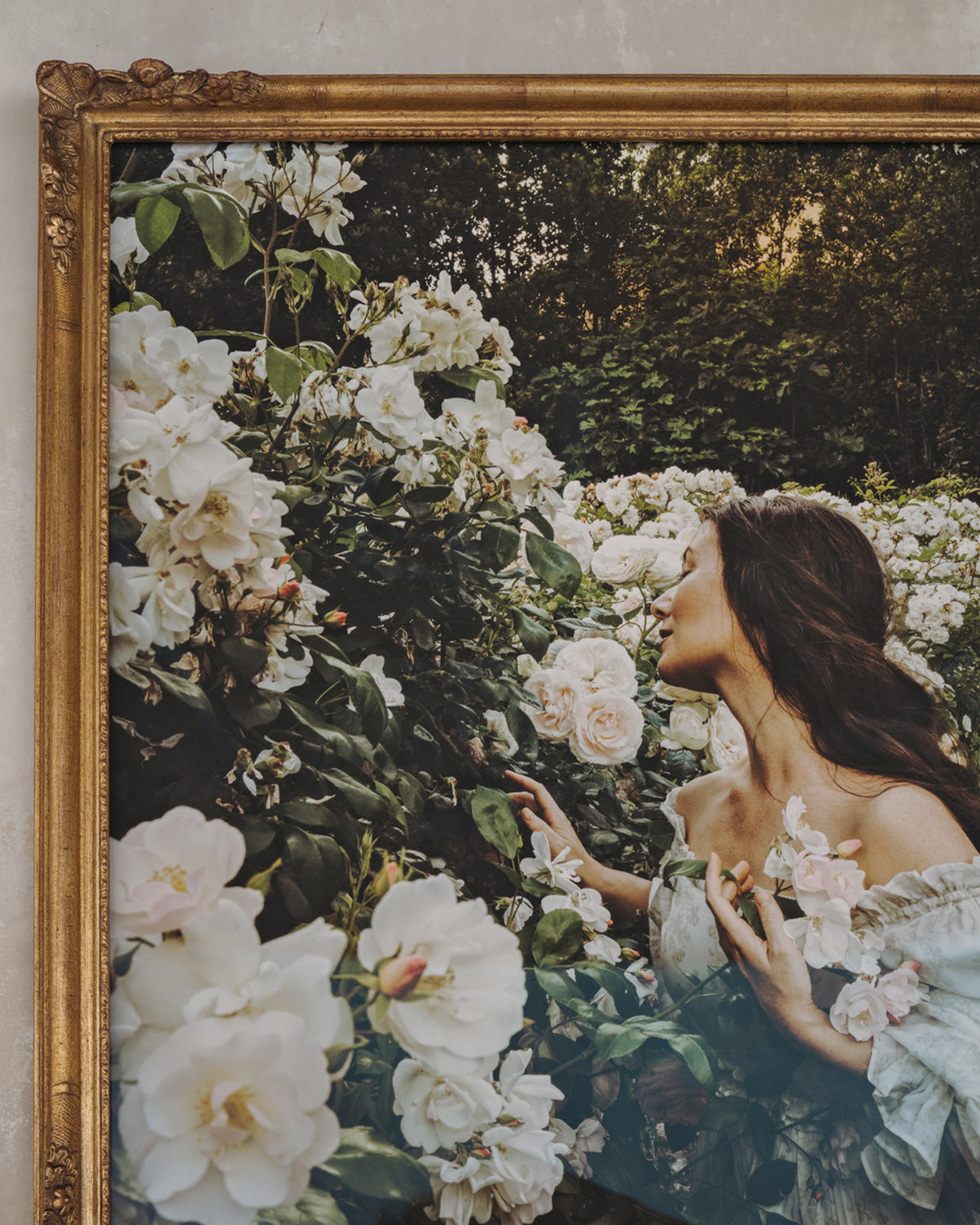 Framed Masterwork - Rose Month Day Twenty-six