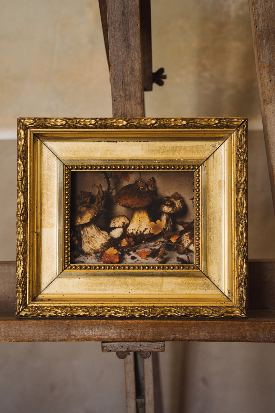 An American in Provence Page 40  - Fine Art Collectible