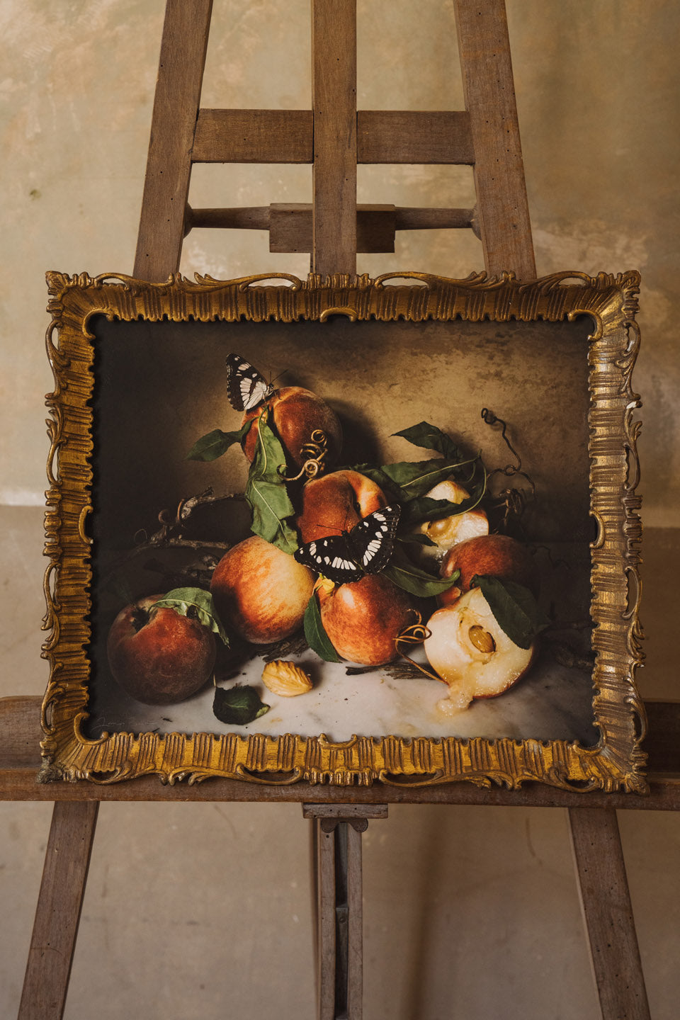 An American in Provence Page 245  - Fine Art Collectible