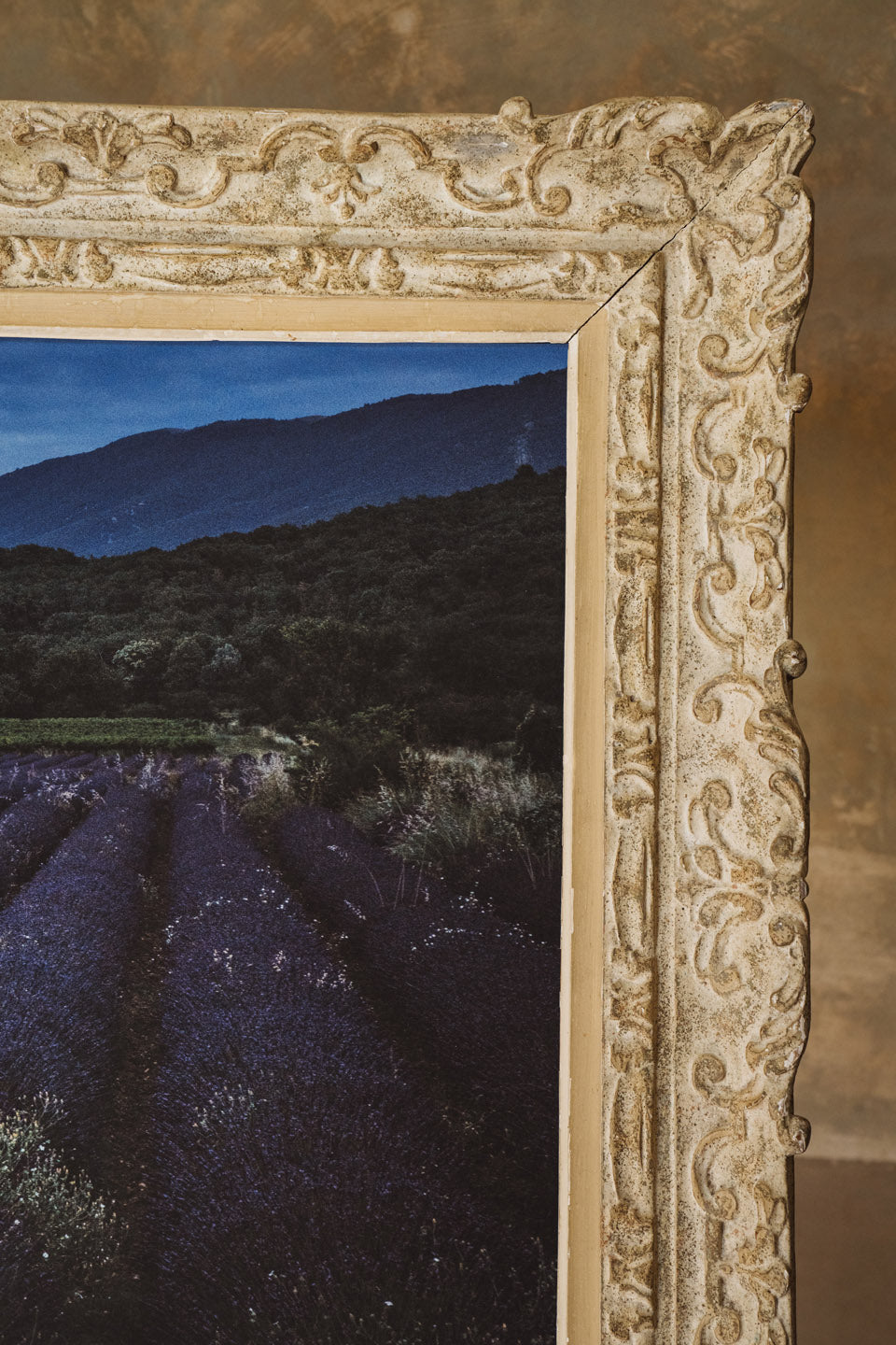 An American in Provence Page 260-261  - Fine Art Collectible