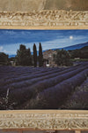 An American in Provence Page 260-261  - Fine Art Collectible