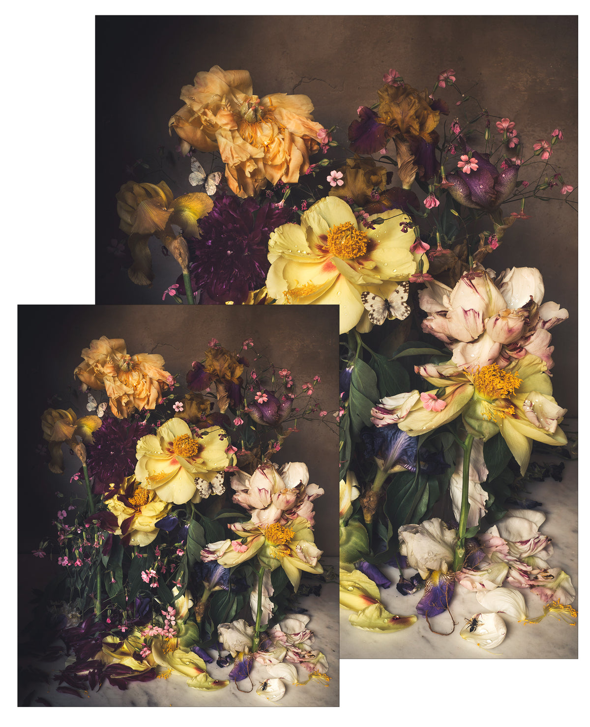 Spring Peonies Small Poster