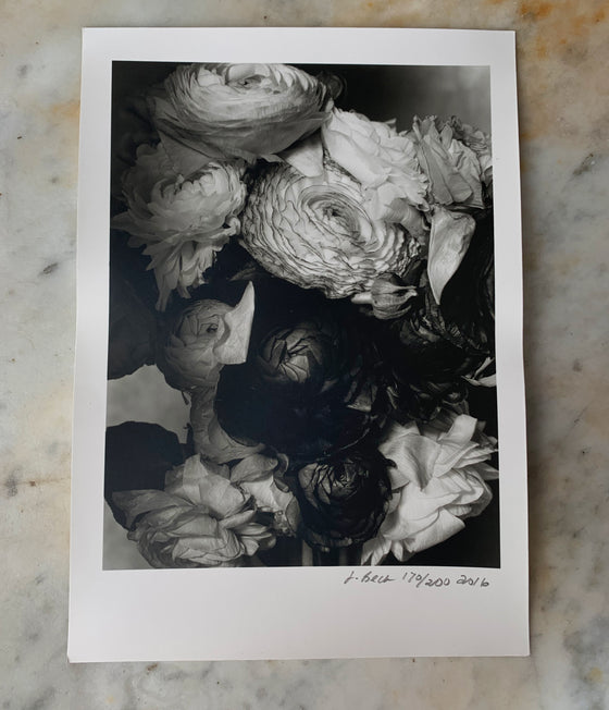 Ranunculus #8 2016 • Darkroom Print
