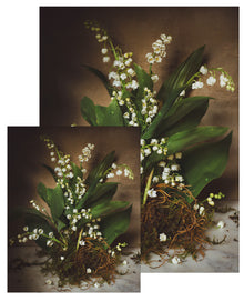  Lily of the Valley Small Poster