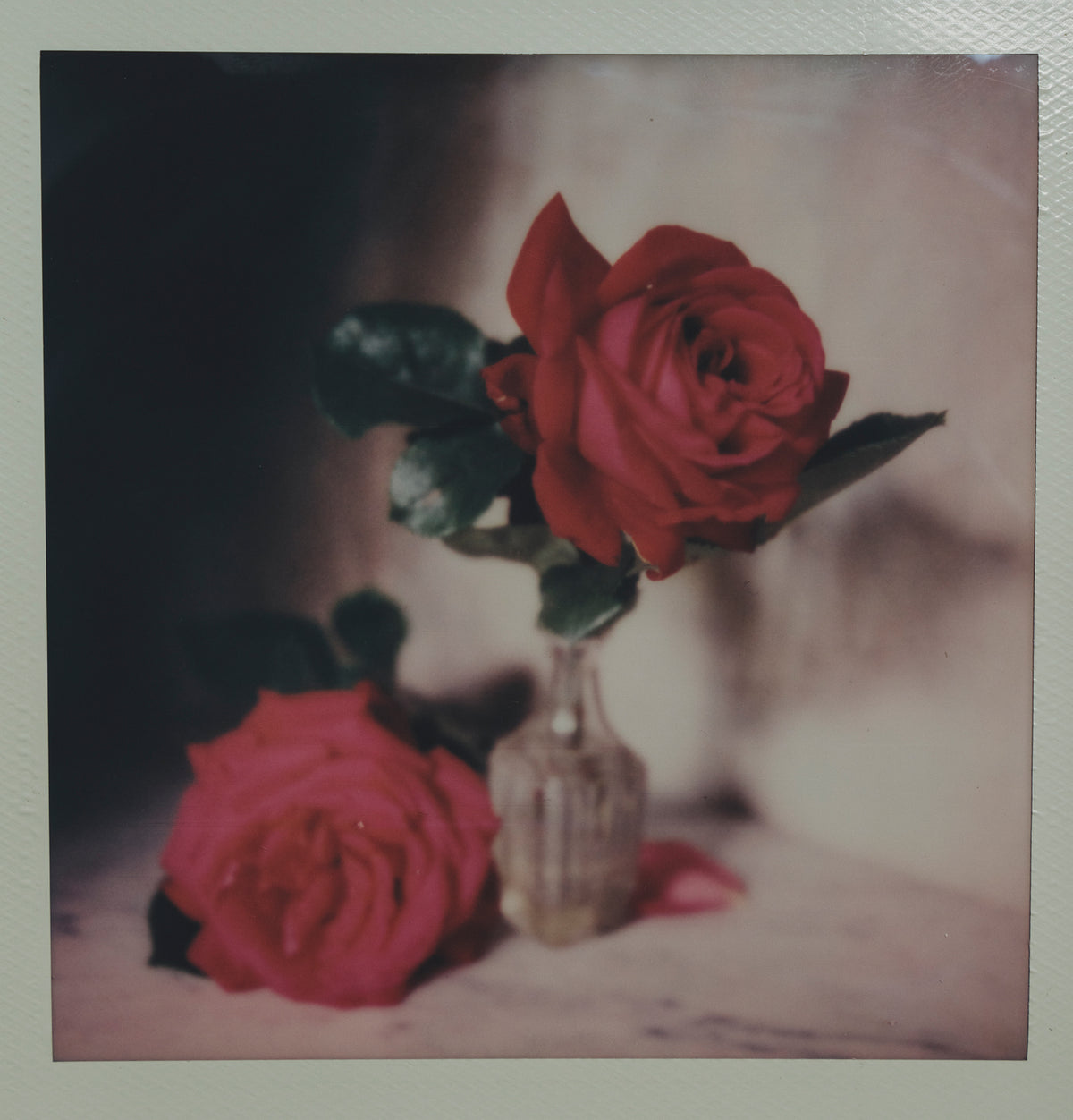 Polaroid Studio Artifact 69