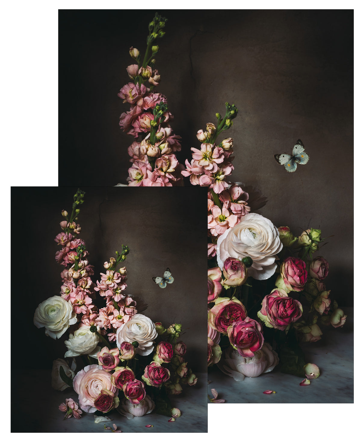 Flowers of January Small Poster
