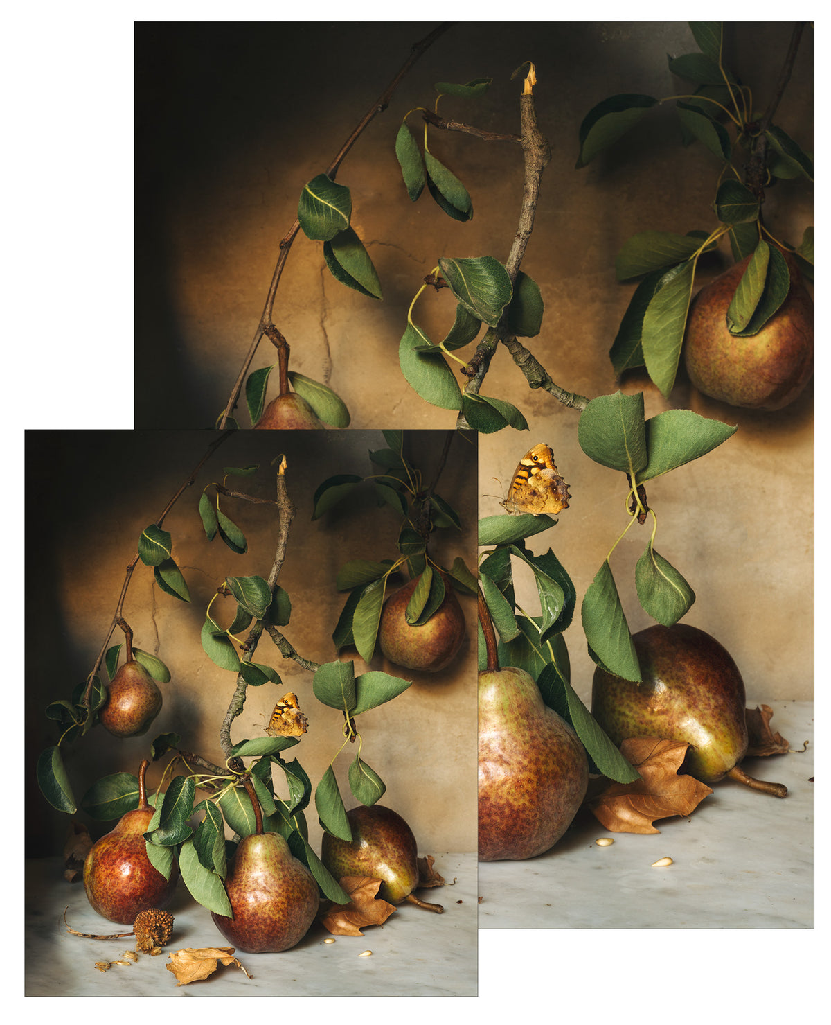 Villeneuve-lès-Avignon Harvest Pears Small Poster