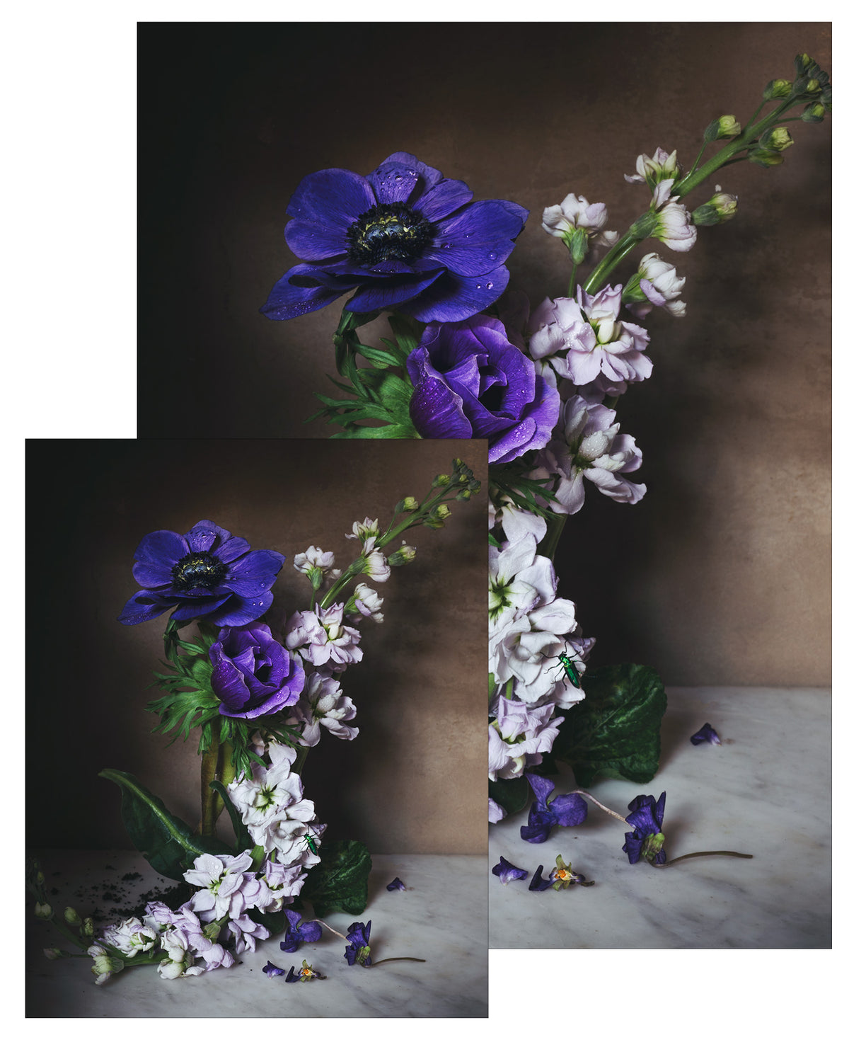 Still Life with Anemone Small Poster