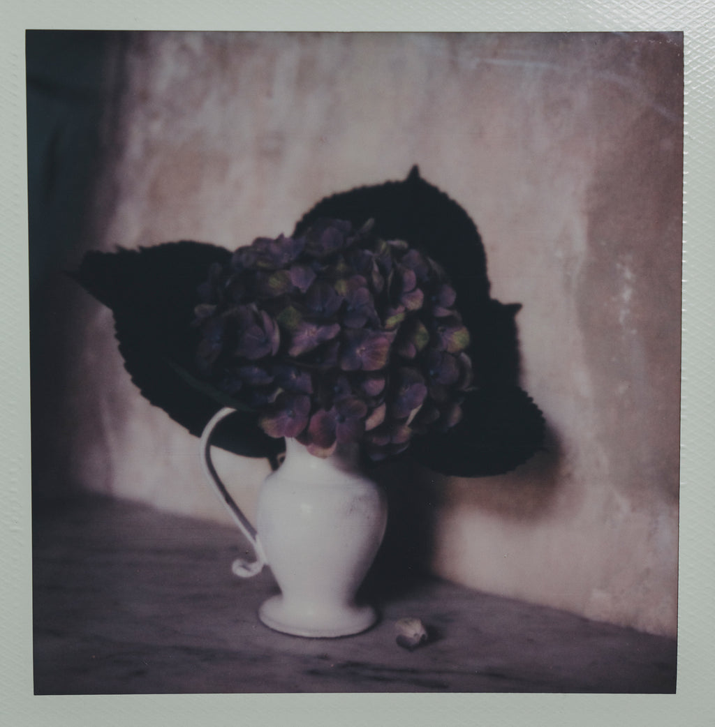 Polaroid Studio Artifact 31