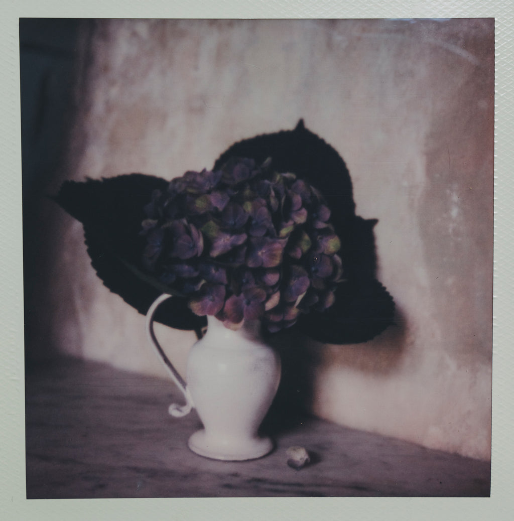 Polaroid Studio Artifact 32