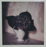 Load image into Gallery viewer, Polaroid Studio Artifact 32
