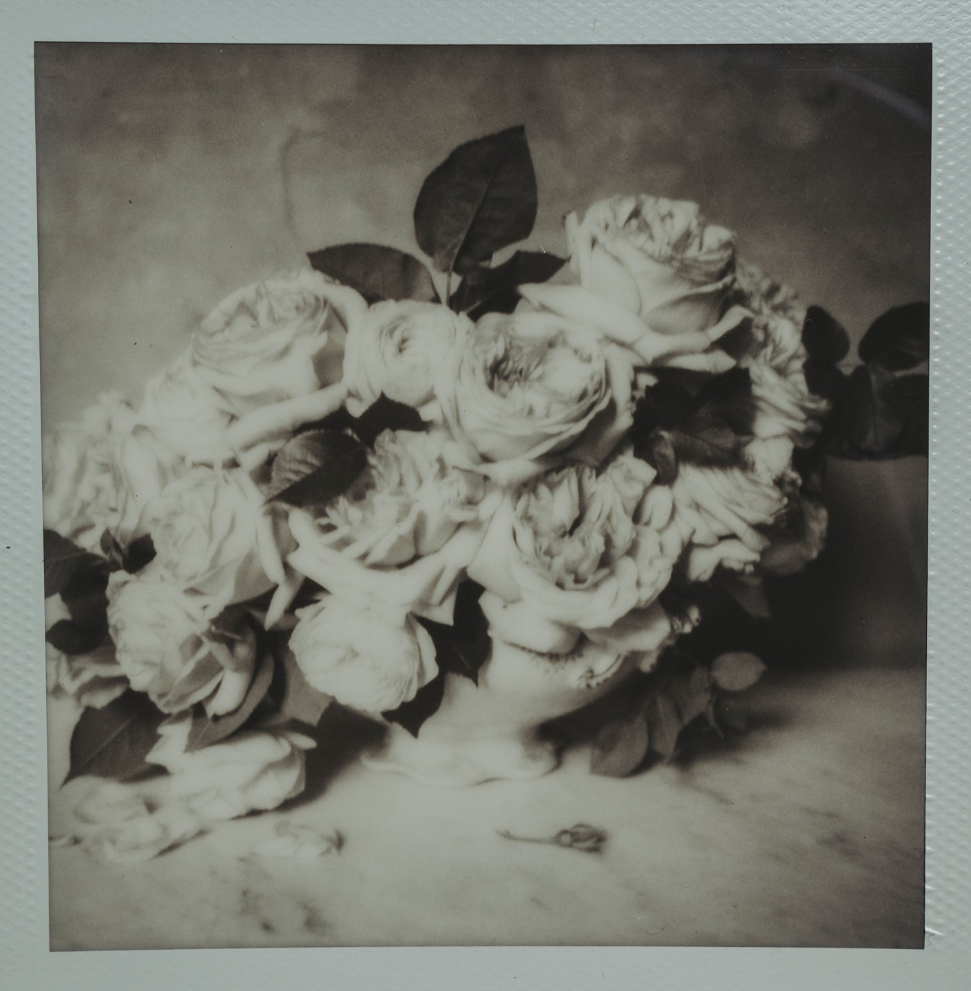 Polaroid Studio Artifact 34