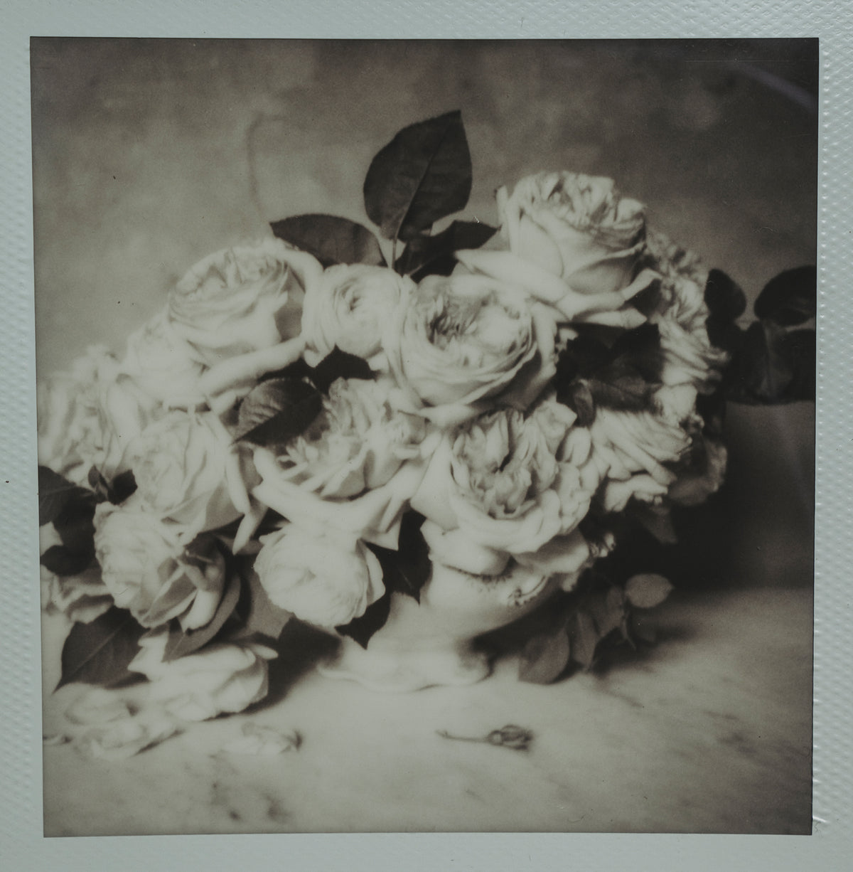 Polaroid Studio Artifact 34