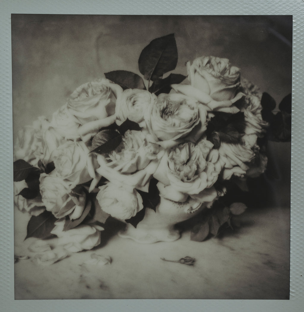 Polaroid Studio Artifact 36