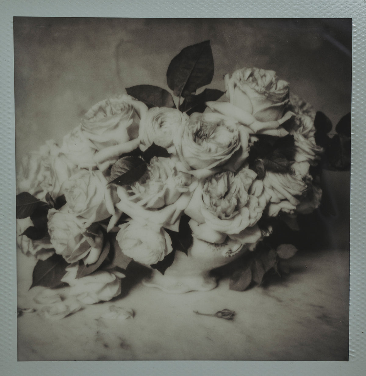 Polaroid Studio Artifact 36
