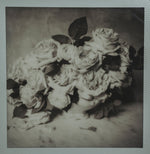 Load image into Gallery viewer, Polaroid Studio Artifact 36
