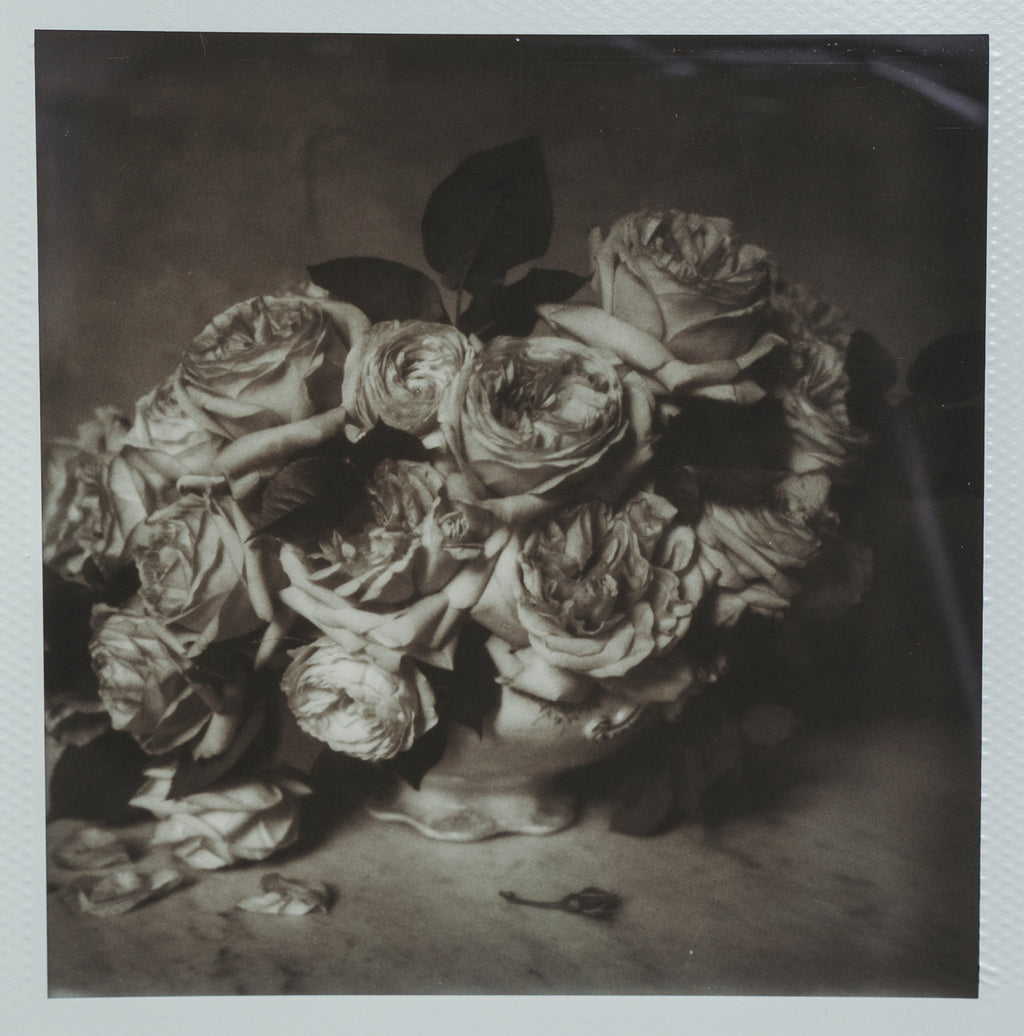 Polaroid Studio Artifact 37
