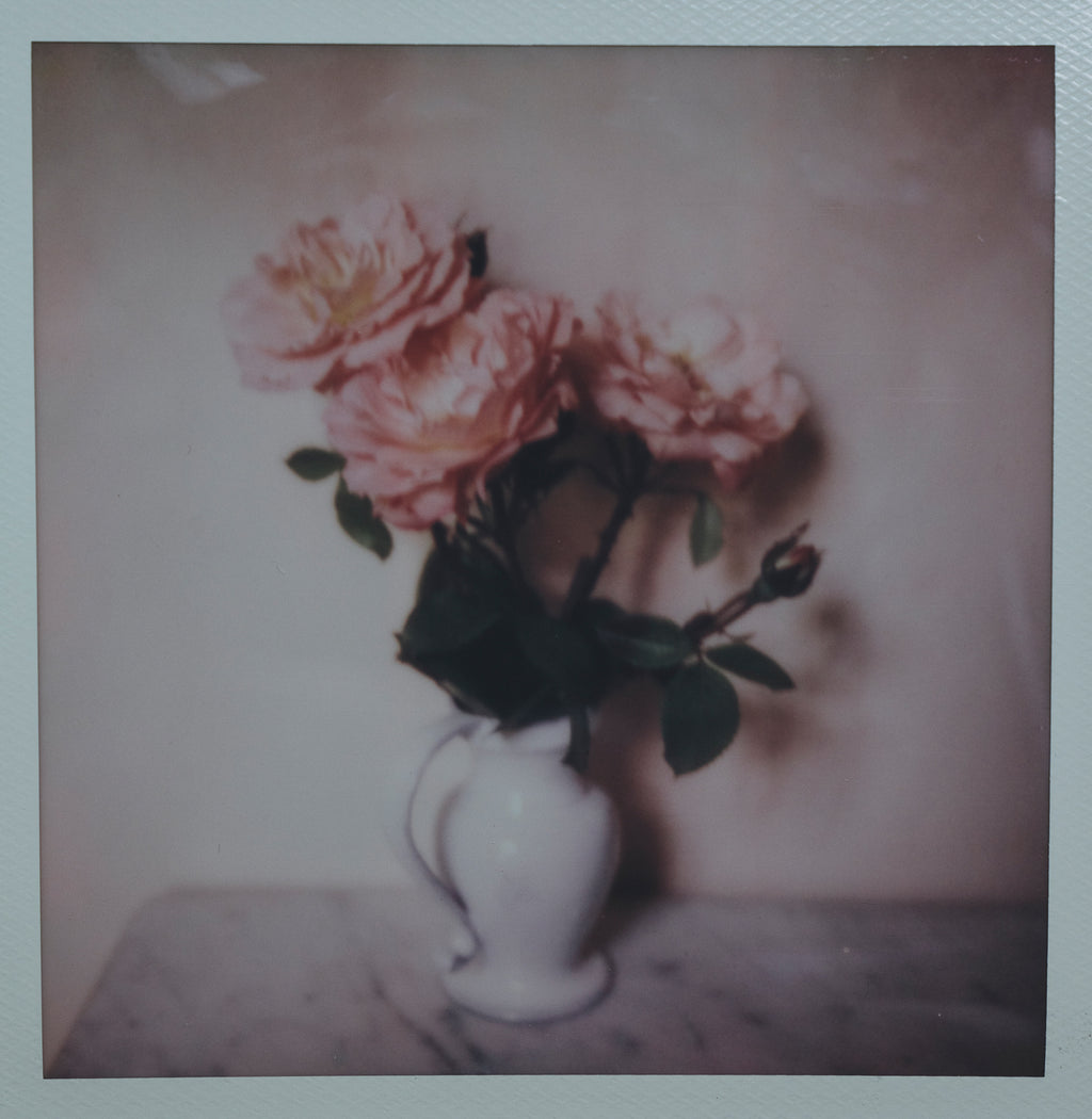 Polaroid Studio Artifact 38
