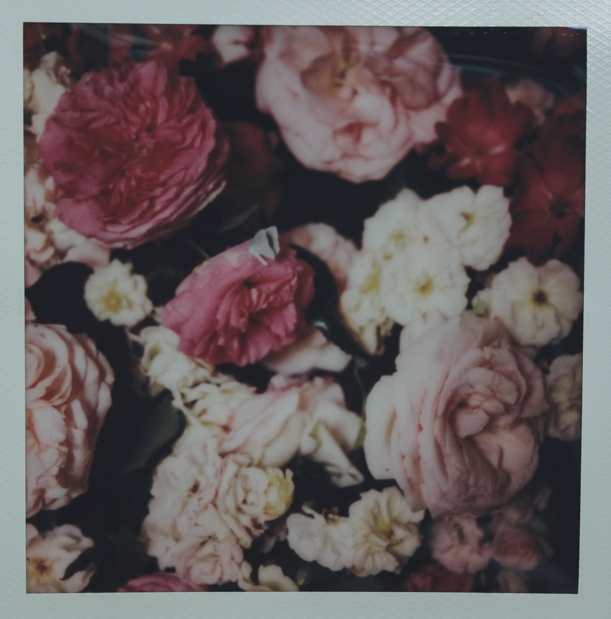Polaroid Studio Artifact 40