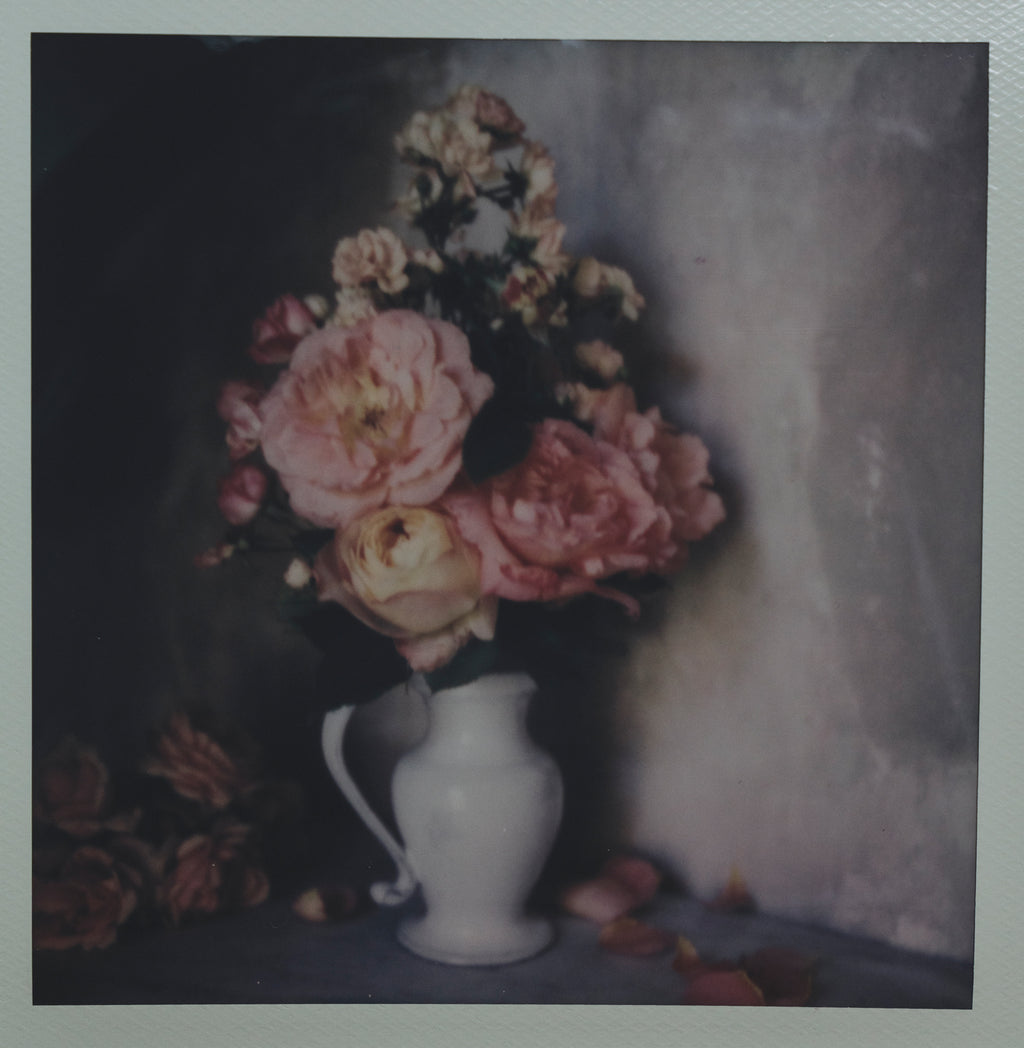 Polaroid Studio Artifact 42