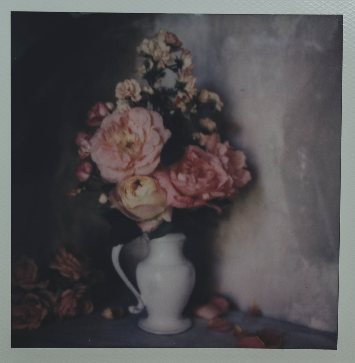 Polaroid Studio Artifact 42