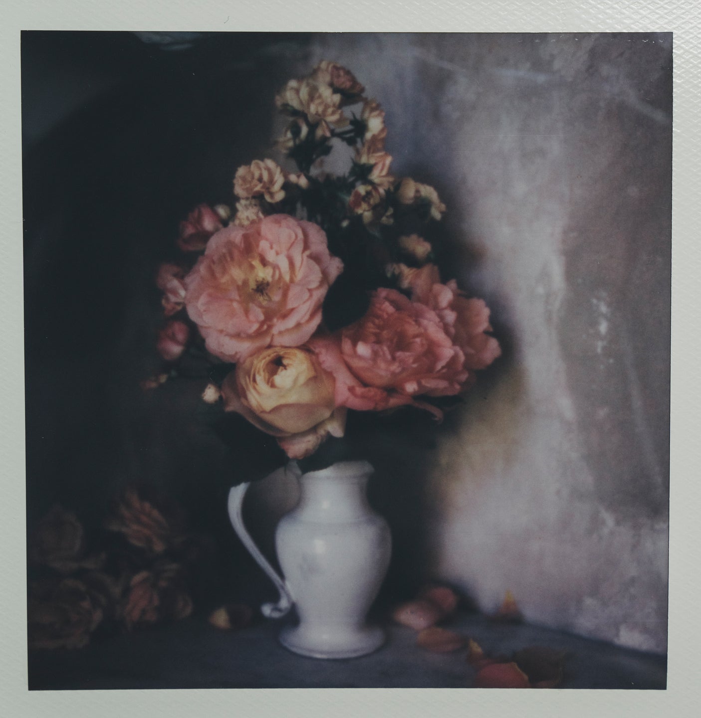 Polaroid Studio Artifact 43