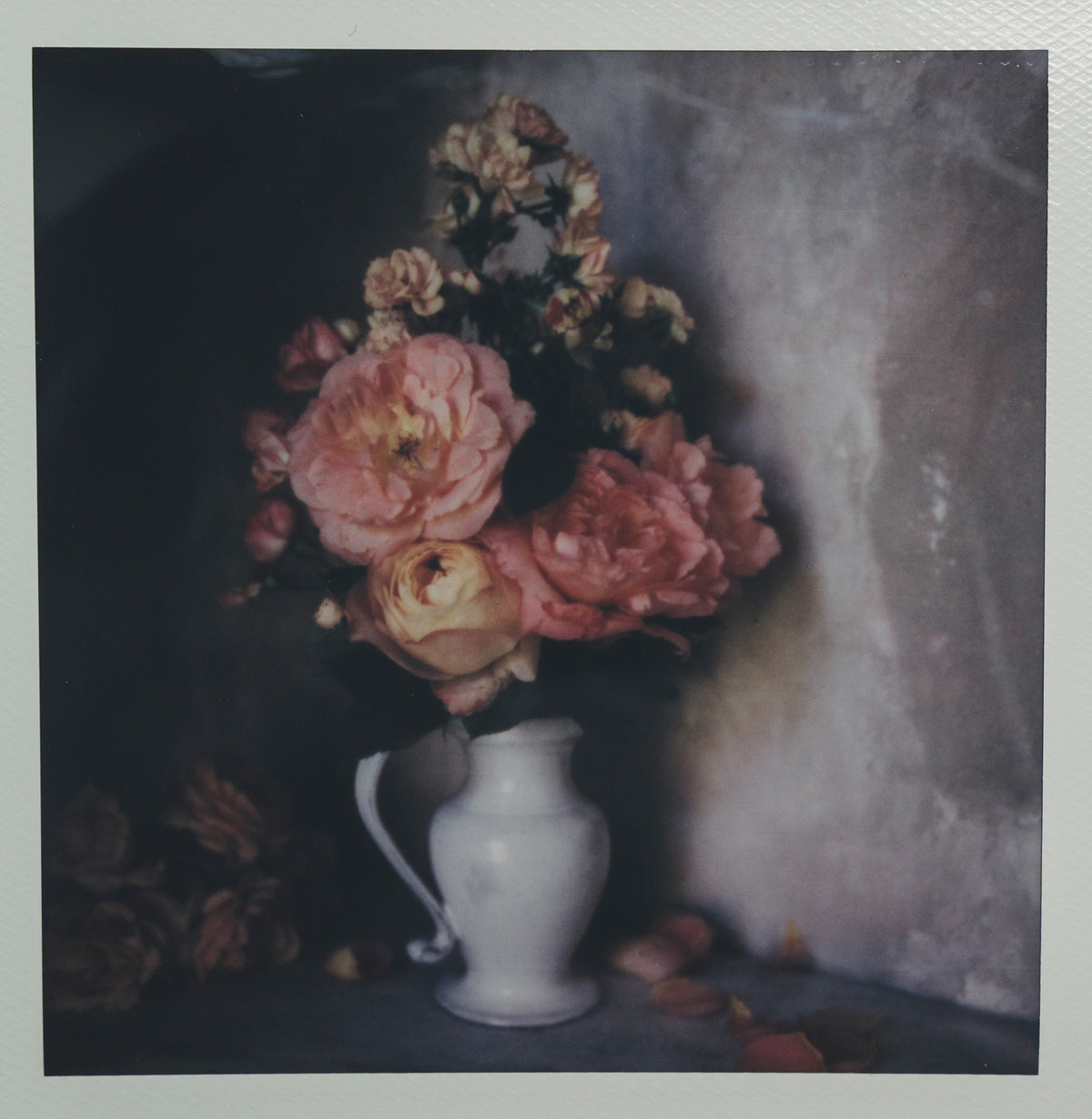 Polaroid Studio Artifact 43