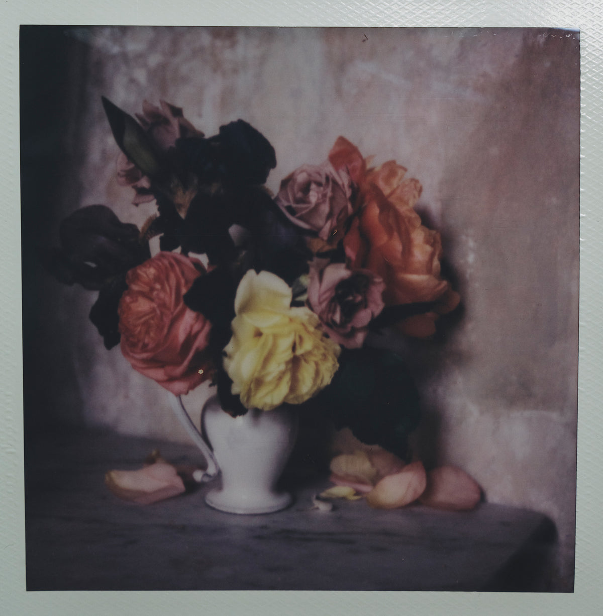 Polaroid Studio Artifact 44