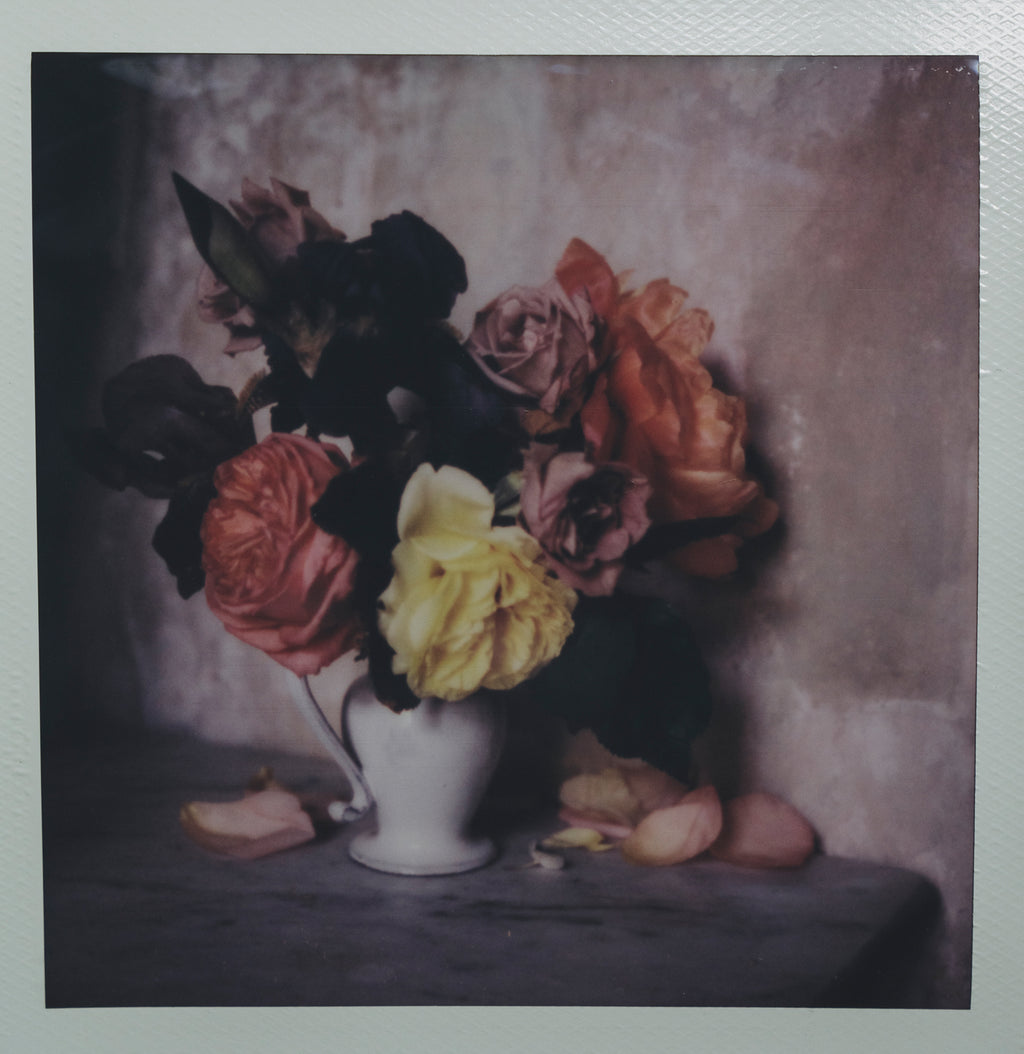 Polaroid Studio Artifact 45