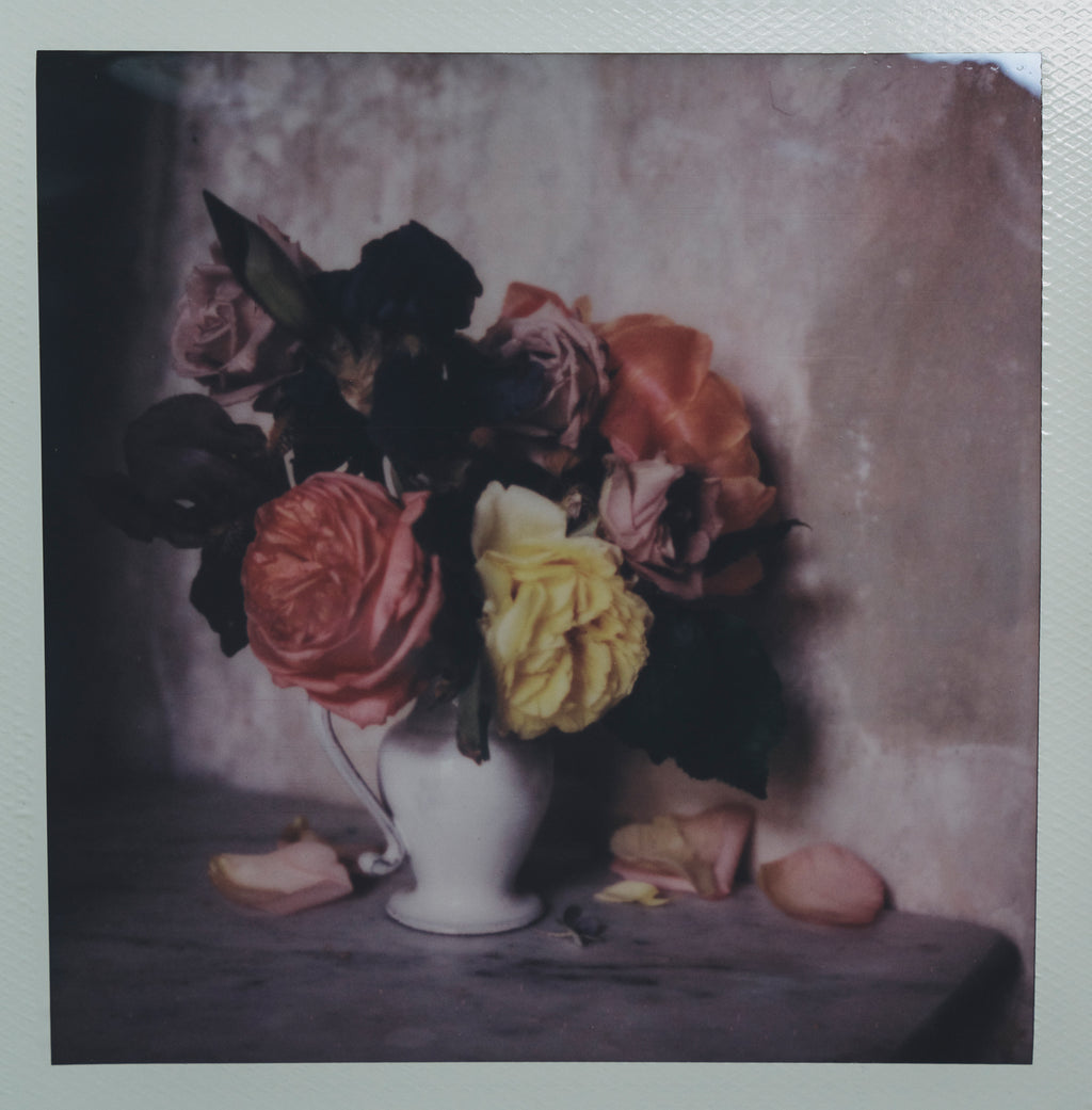 Polaroid Studio Artifact 46