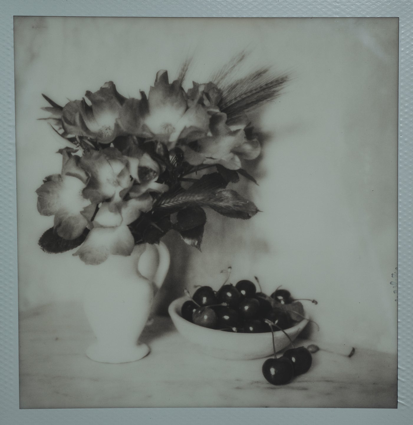 Polaroid Studio Artifact 52