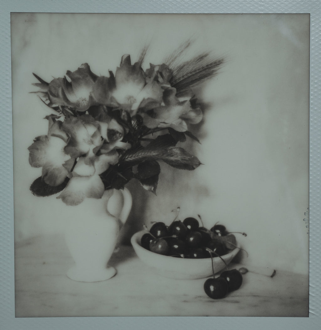 Polaroid Studio Artifact 52