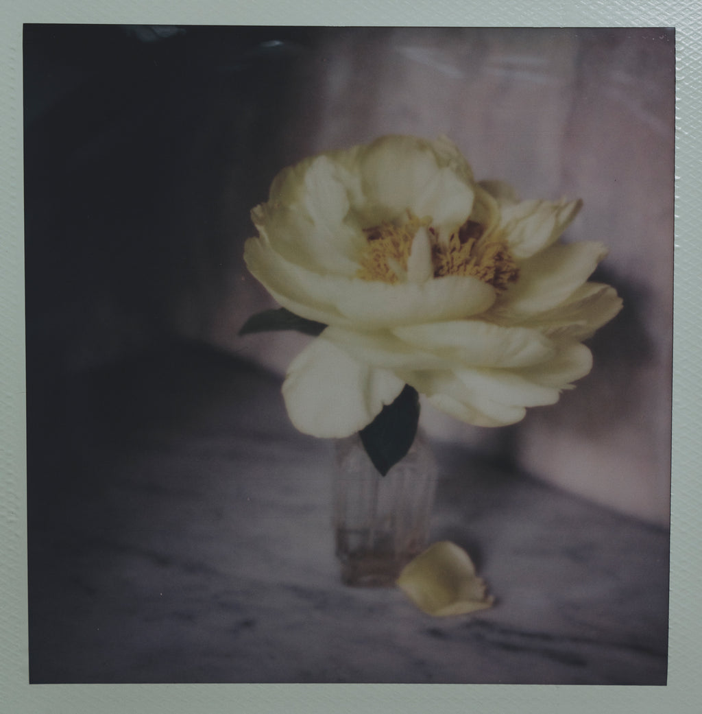 Polaroid Studio Artifact 54