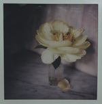 Load image into Gallery viewer, Polaroid Studio Artifact 54
